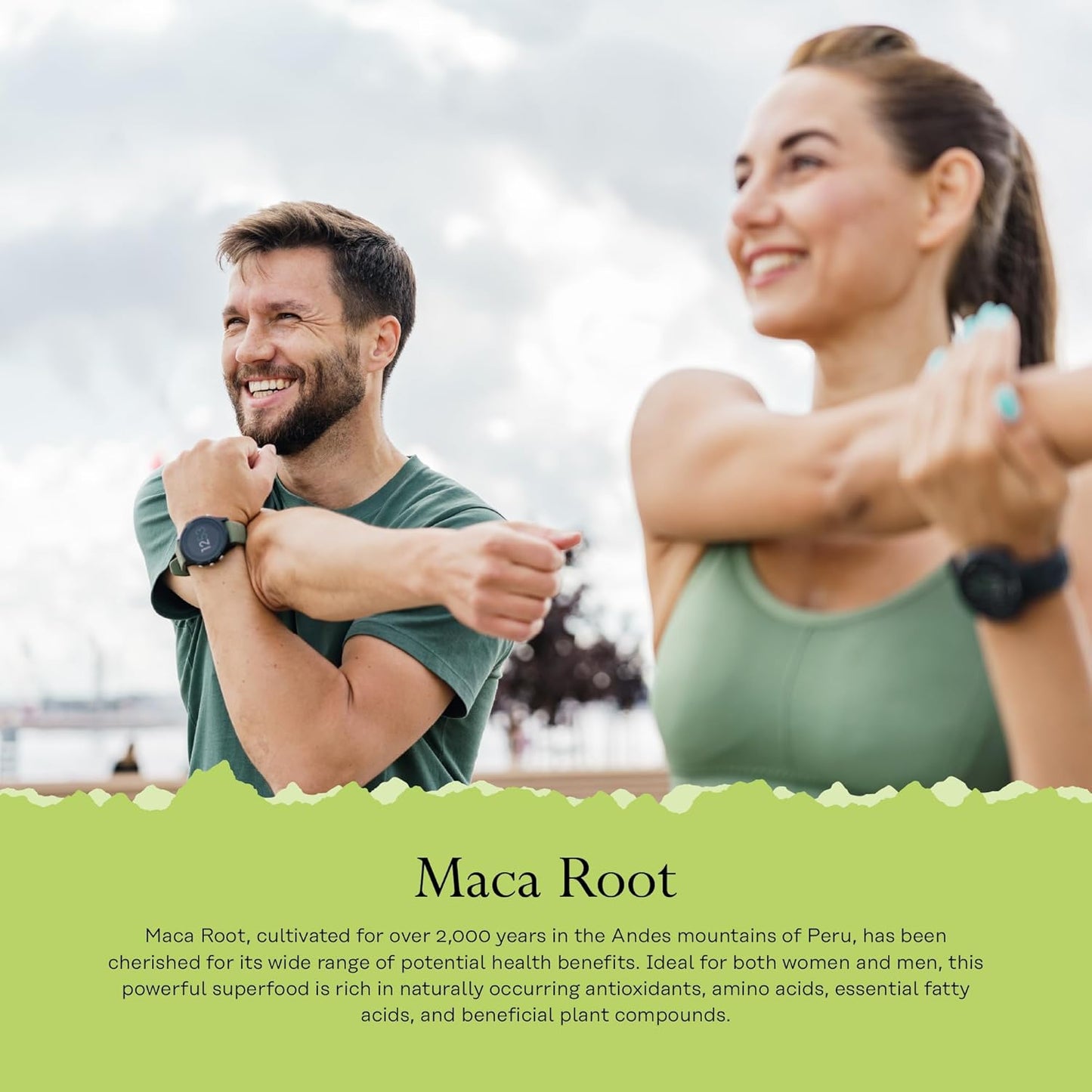 Maca Root